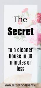 Need your house to look somewhat presentable in a flash? Check out the secret to a cleaner house in 30 minutes or less by  clicking here!