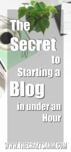 Maybe you have been reading about starting a blog for months, or maybe the spark just hit. Either way, get started in under an hour today!