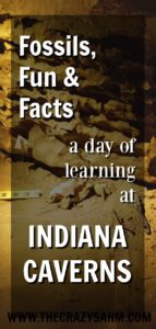 Indiana Caverns, Indiana's longest cave system, is full of learning fun, and a must see for your kids this summer! Find out why here! #indianacaverns #thisisindiana #indiana #caves #sponsored 