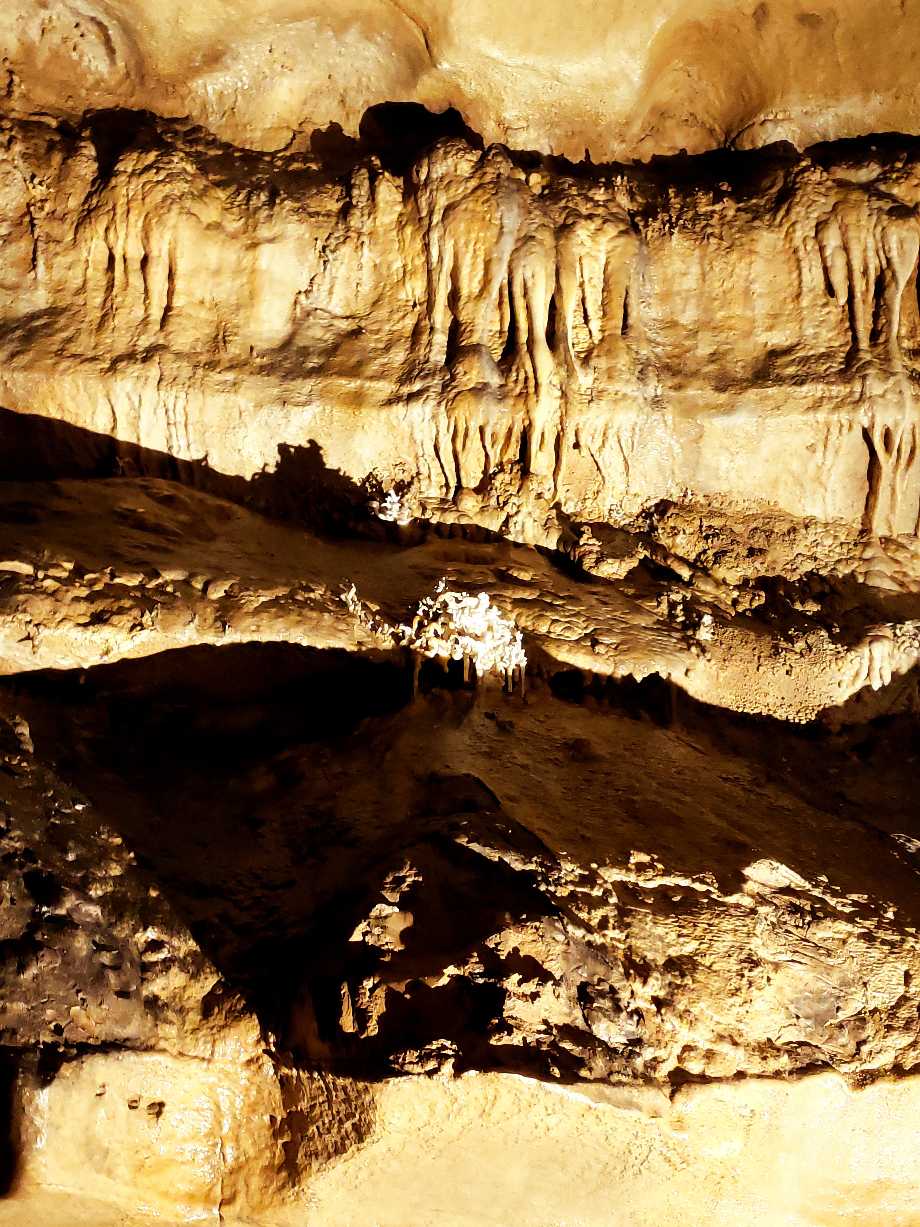 a cave at Marengo Cave