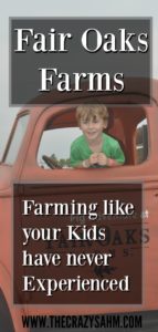 Ever wondered how many gallons of milk a cow produces in a day? How about how the crops your local farmers grow turns into the food on your dinner plate? And that bacon you had for breakfast, where did that come from? Fair Oaks Farms can take you and your little's on an adventure to learn all of this and more! #indiana #exploreindiana #travelwithkids #momlife