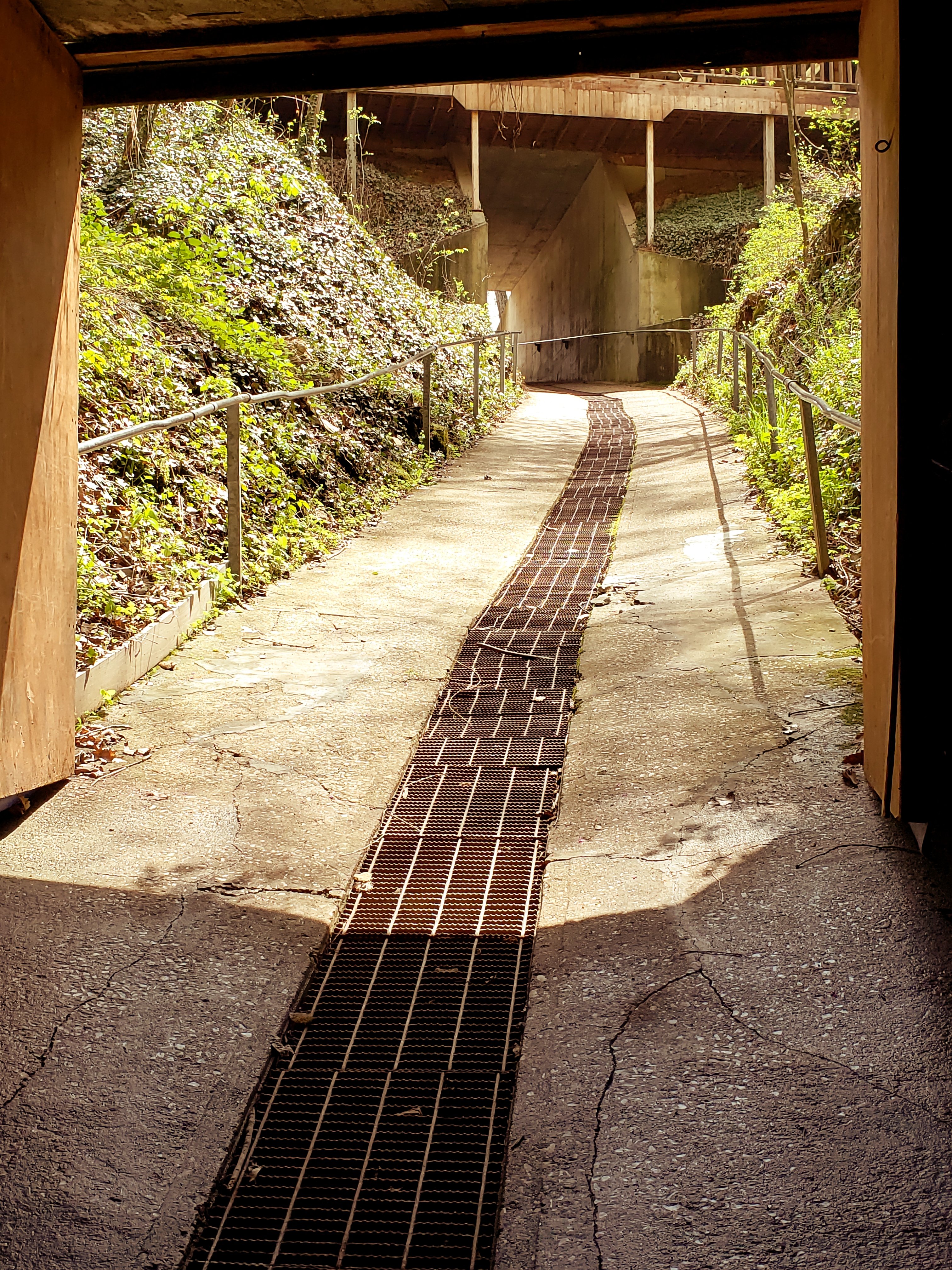 Photo of the walkway out of the cavern at Bluespring Caverns tour in Bedford, Indiana