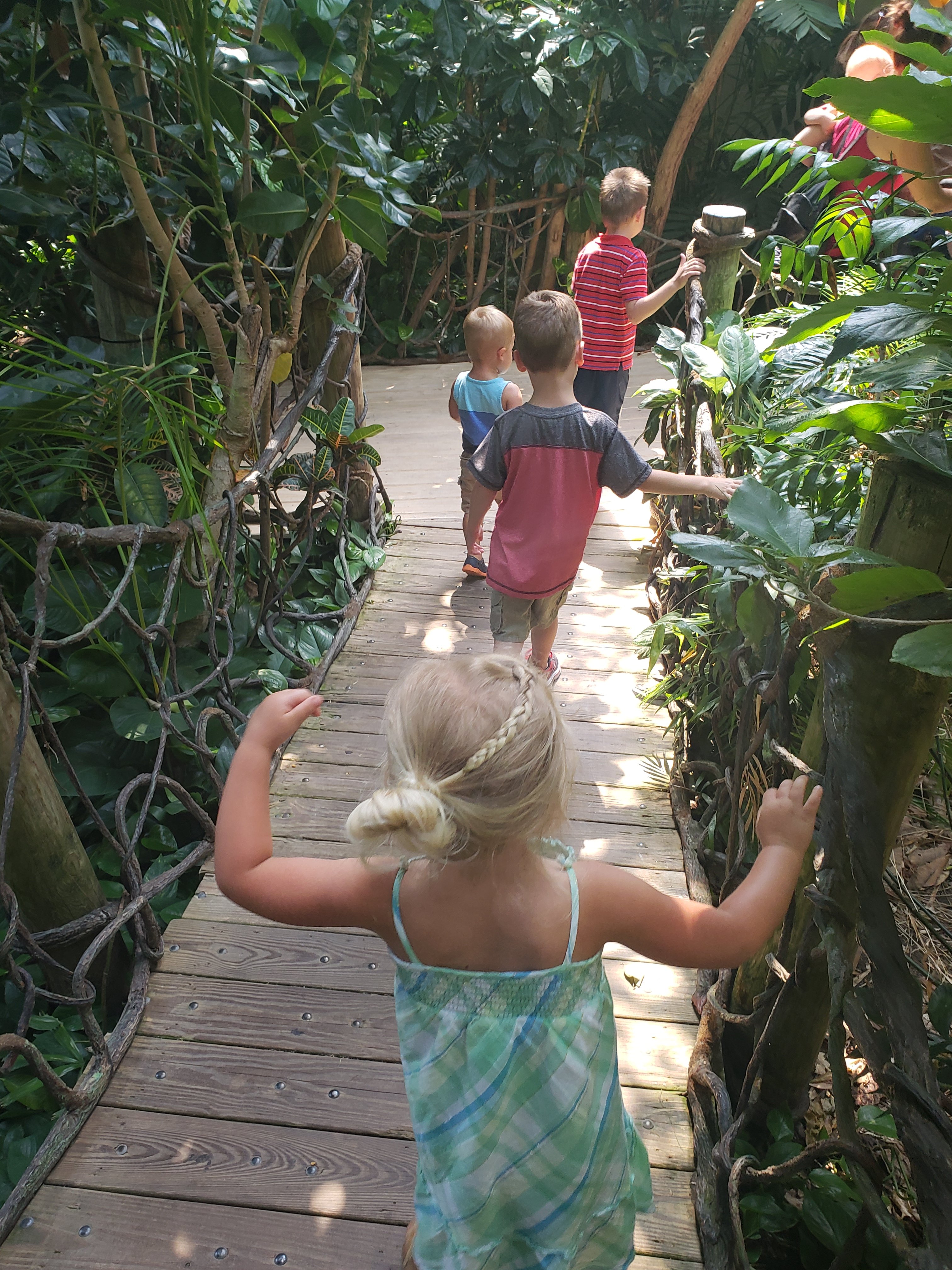 four children walking across a small  wooden foot bridge in the zoo