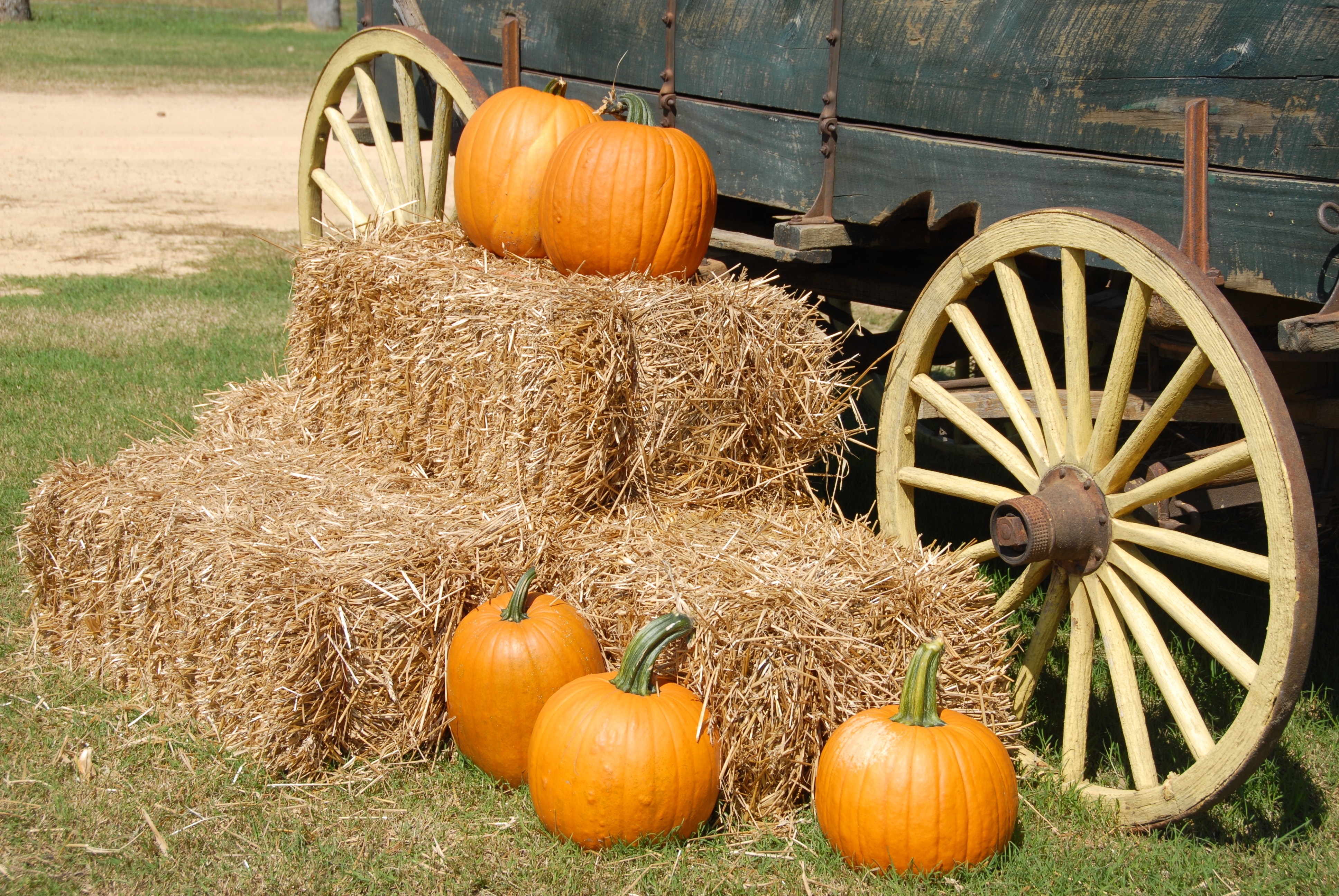 side of wagon, with straw bales stacked two high against it with some pumpkins on the straw and on the ground beside the bales of straw