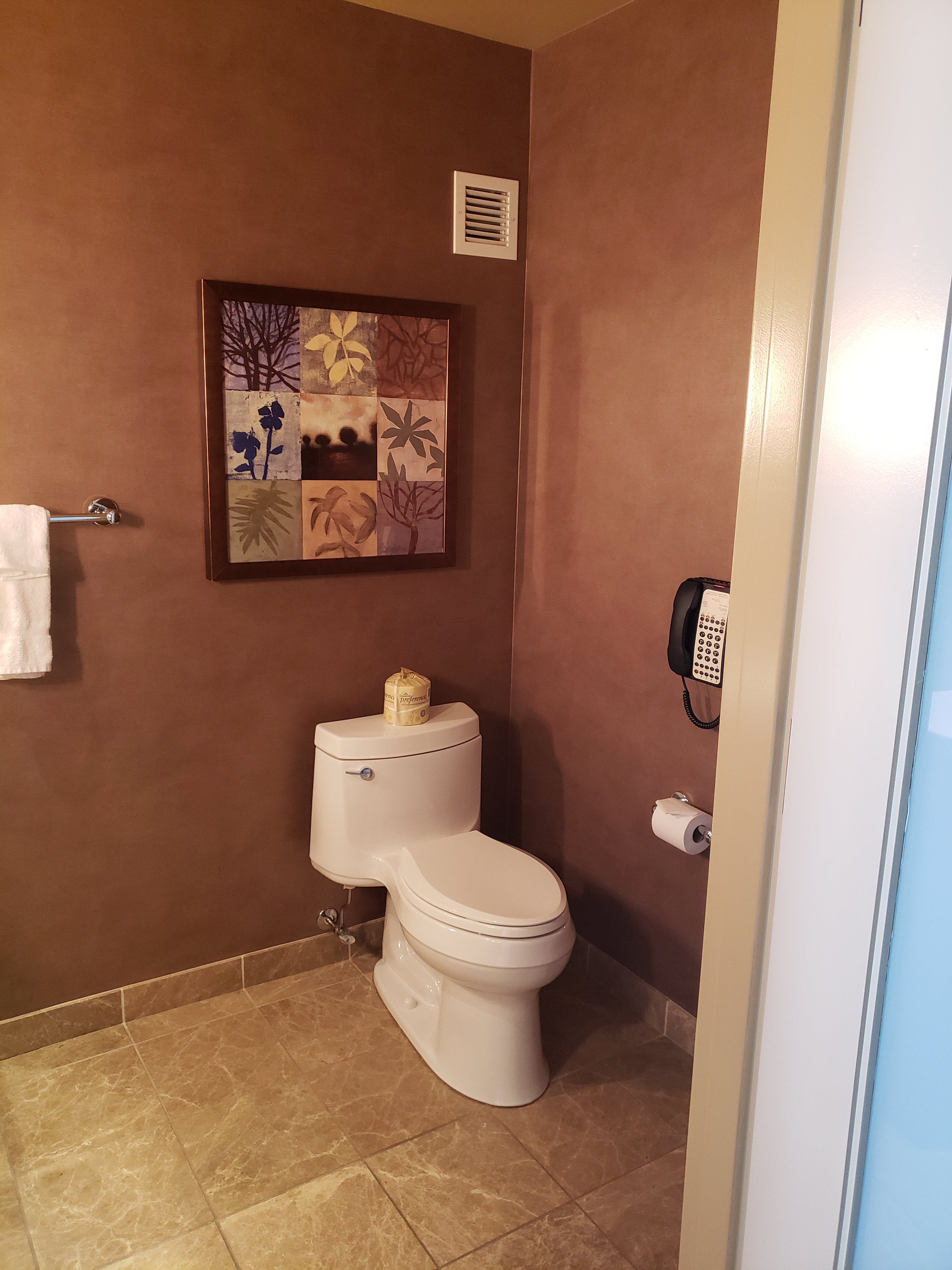 Bettendorf Iowa Hotel room toilet with phone on wall next to it