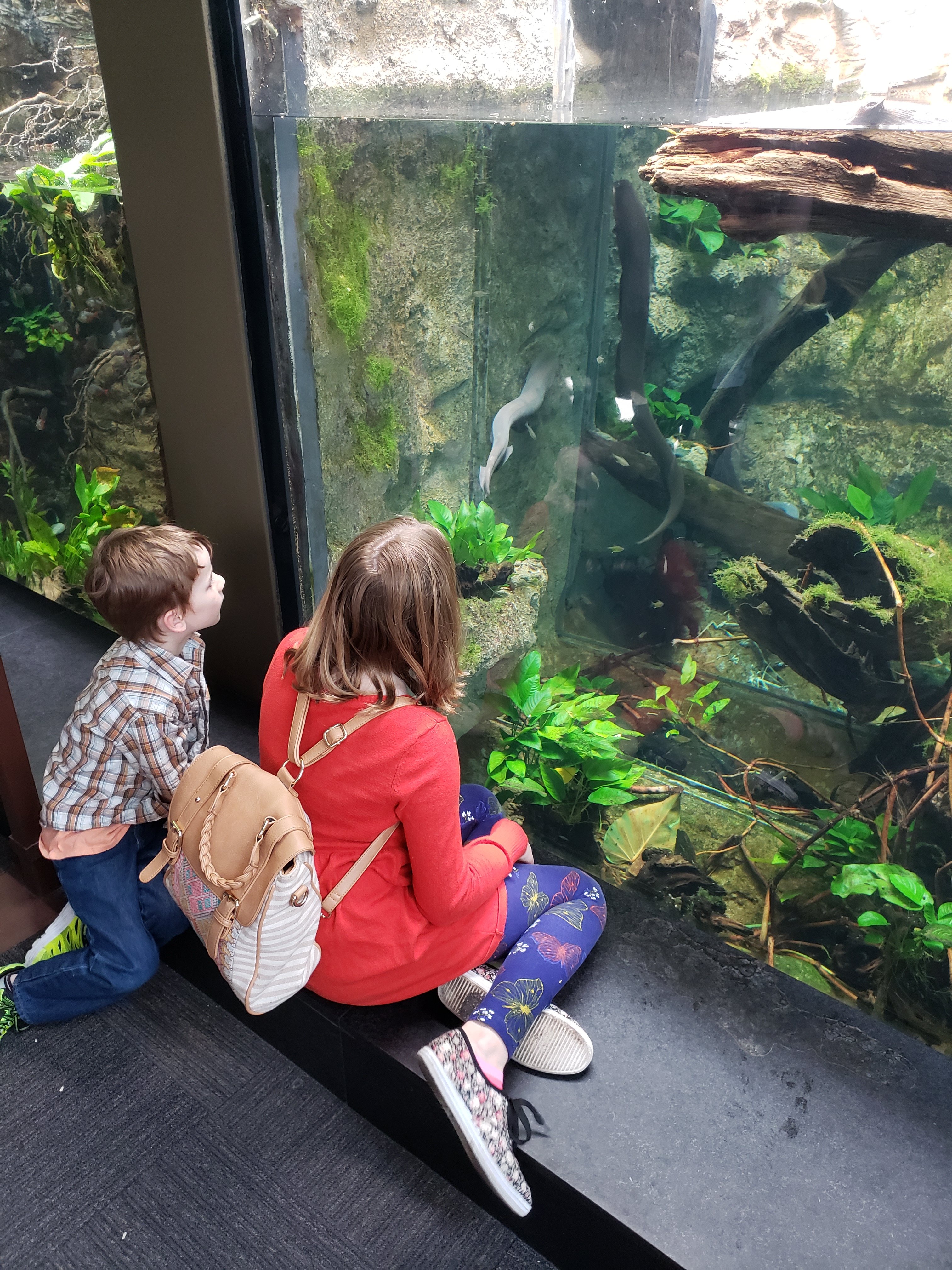 preteen girl and a boy sitting in front of a terrarium