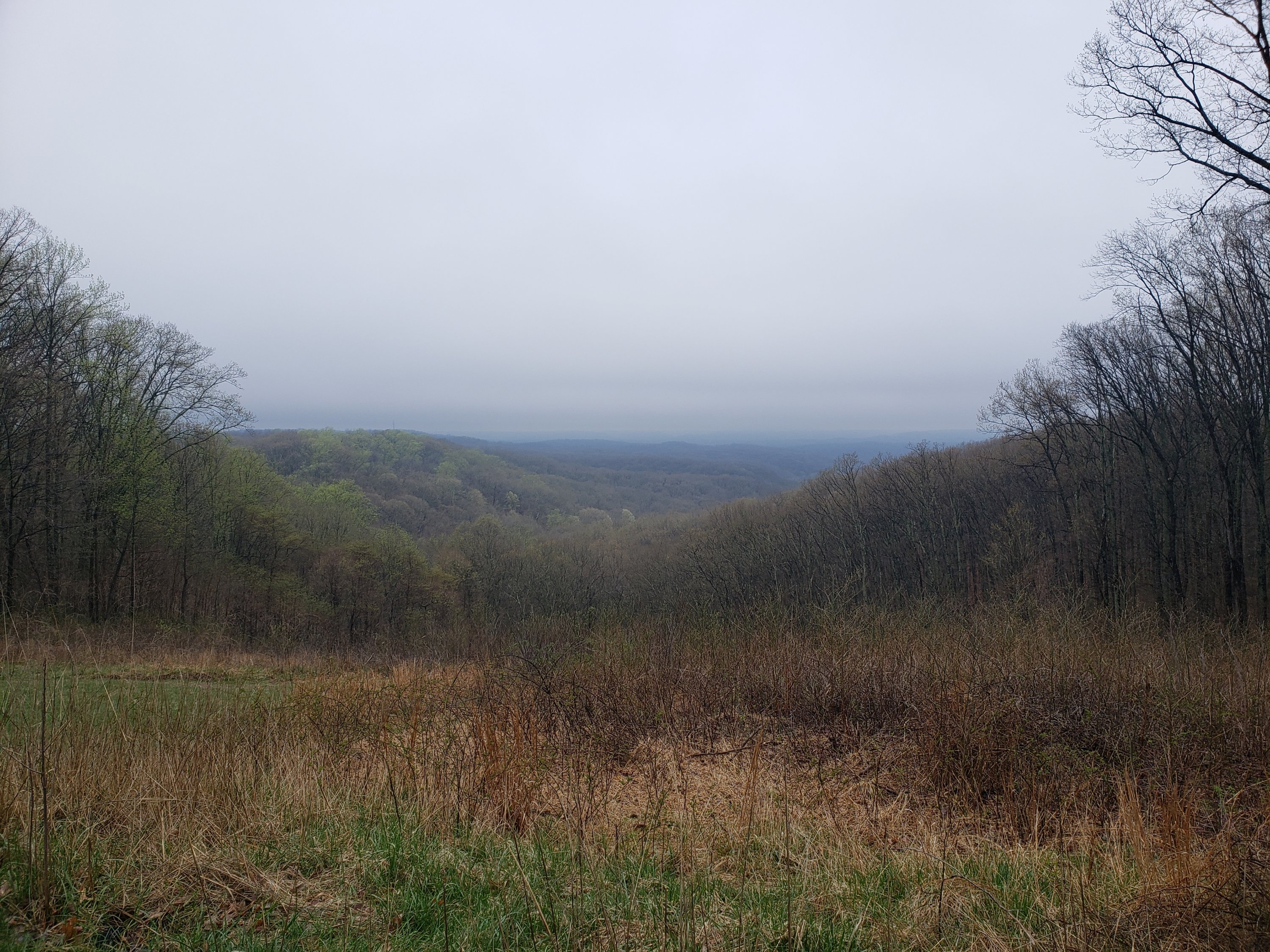 scenic view of Brown County State Park