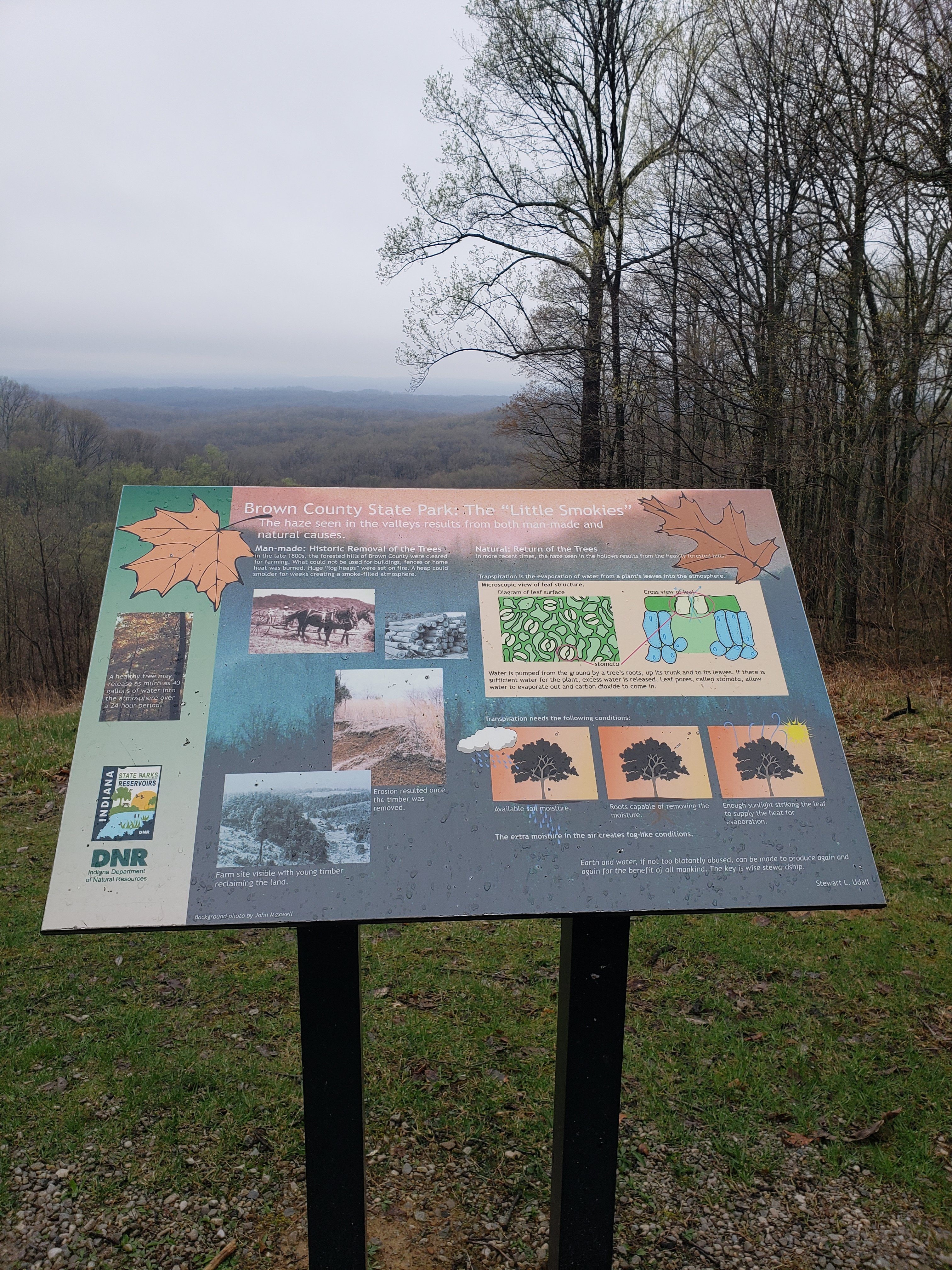 scenic view of Brown County State Park