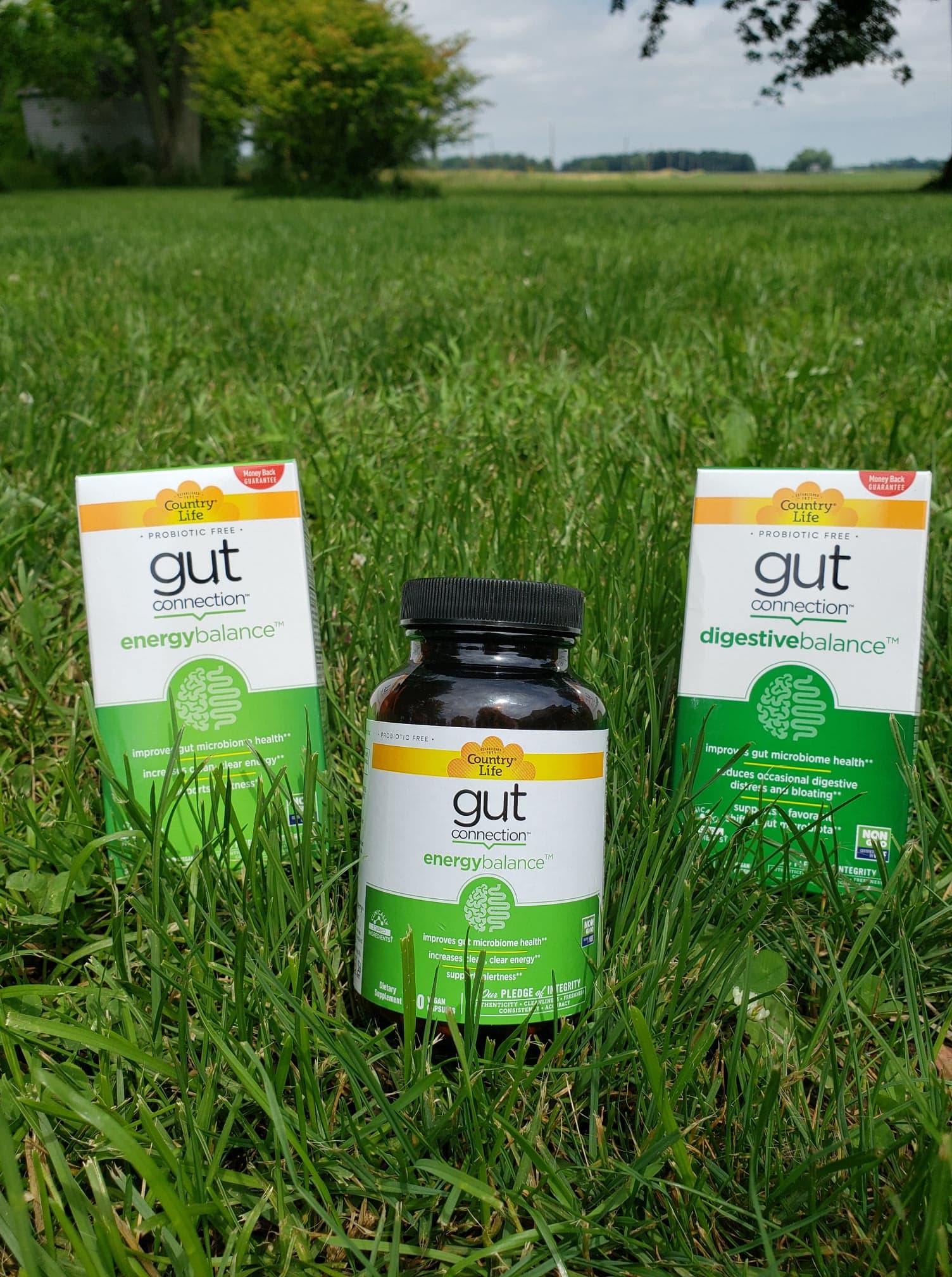 a bottle of Gut Health Energy Balance pills and two boxes of it in the grass