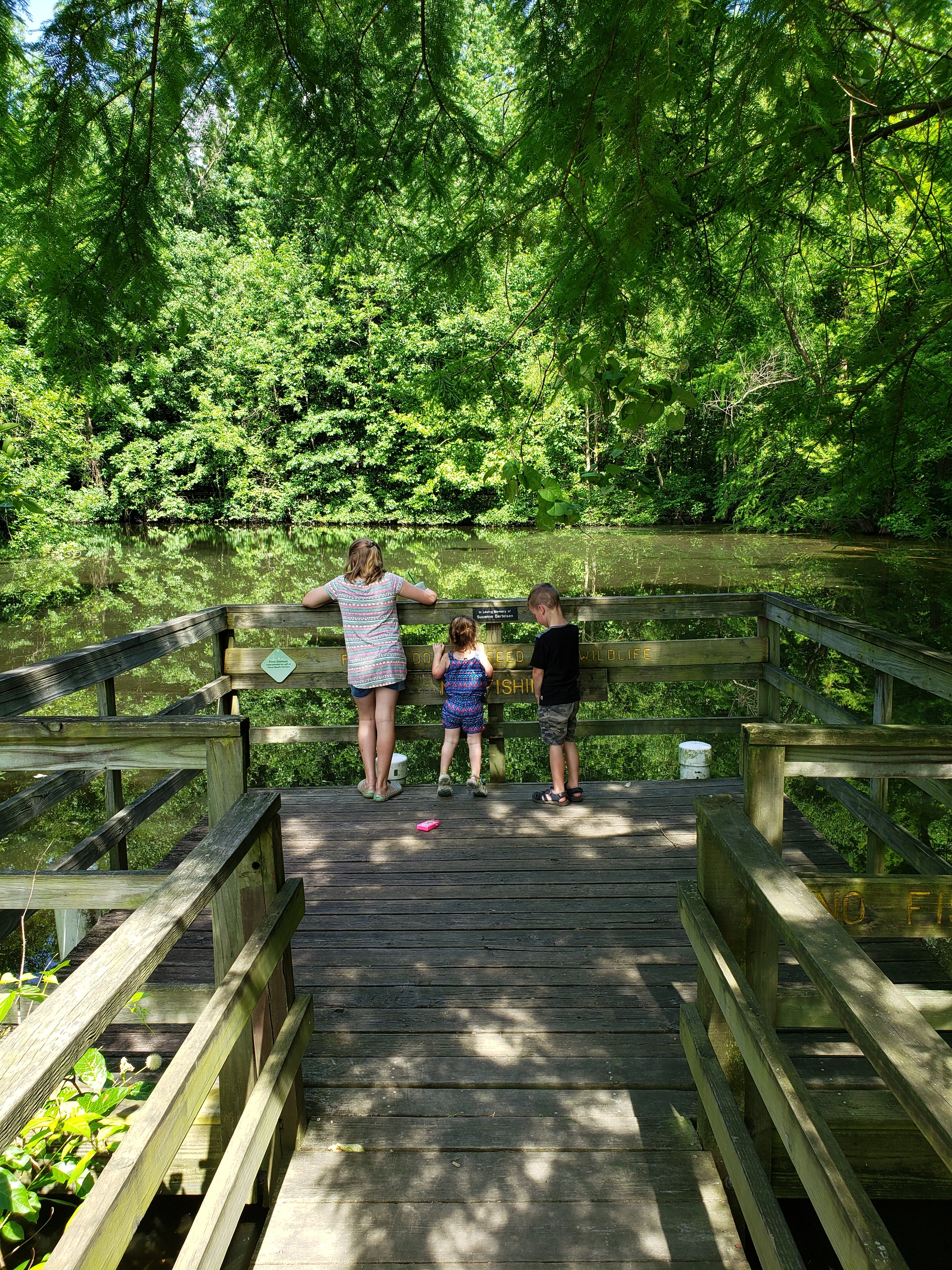 three children standing on look off 