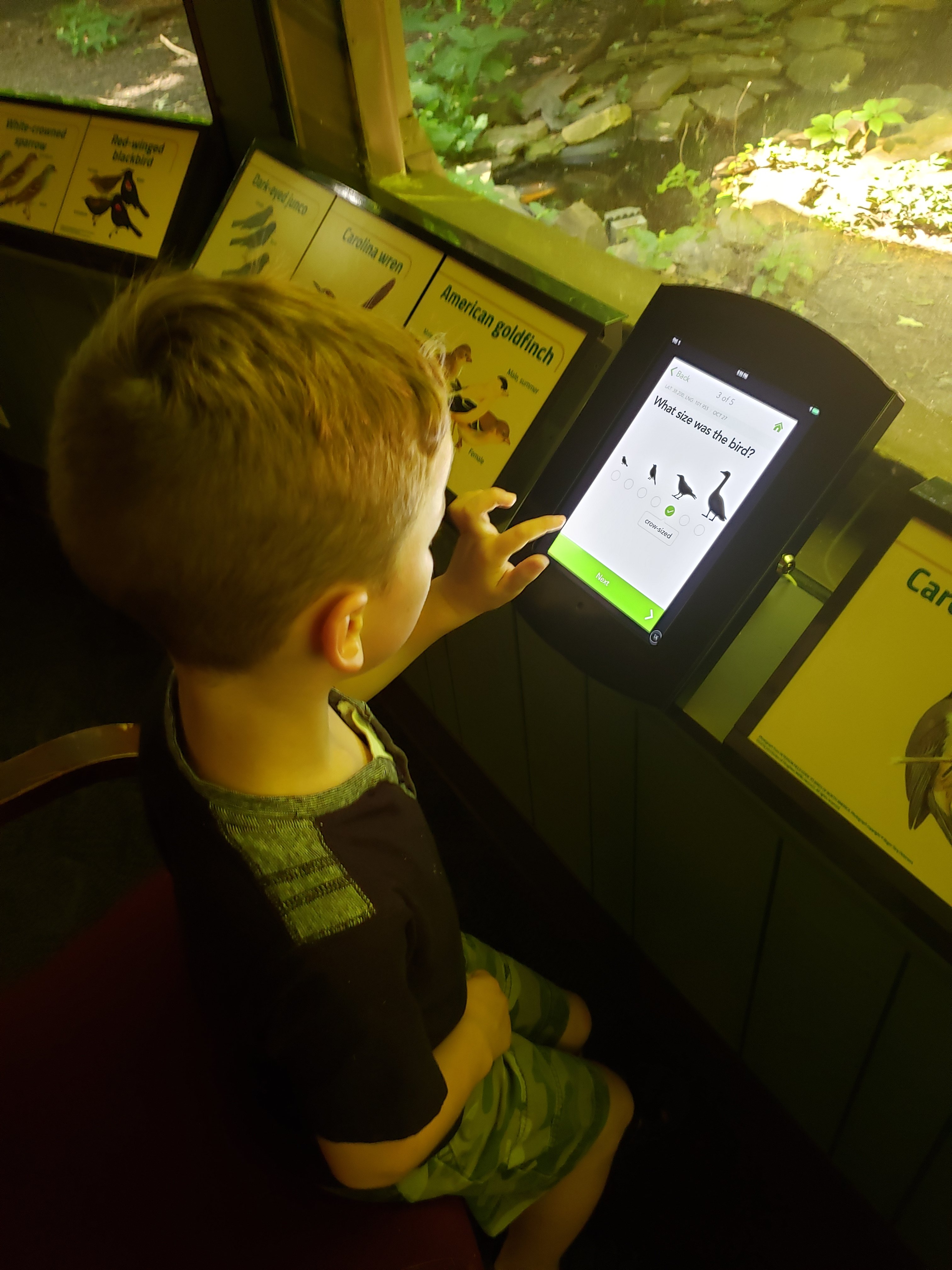 boy using a tablet, learning about birds