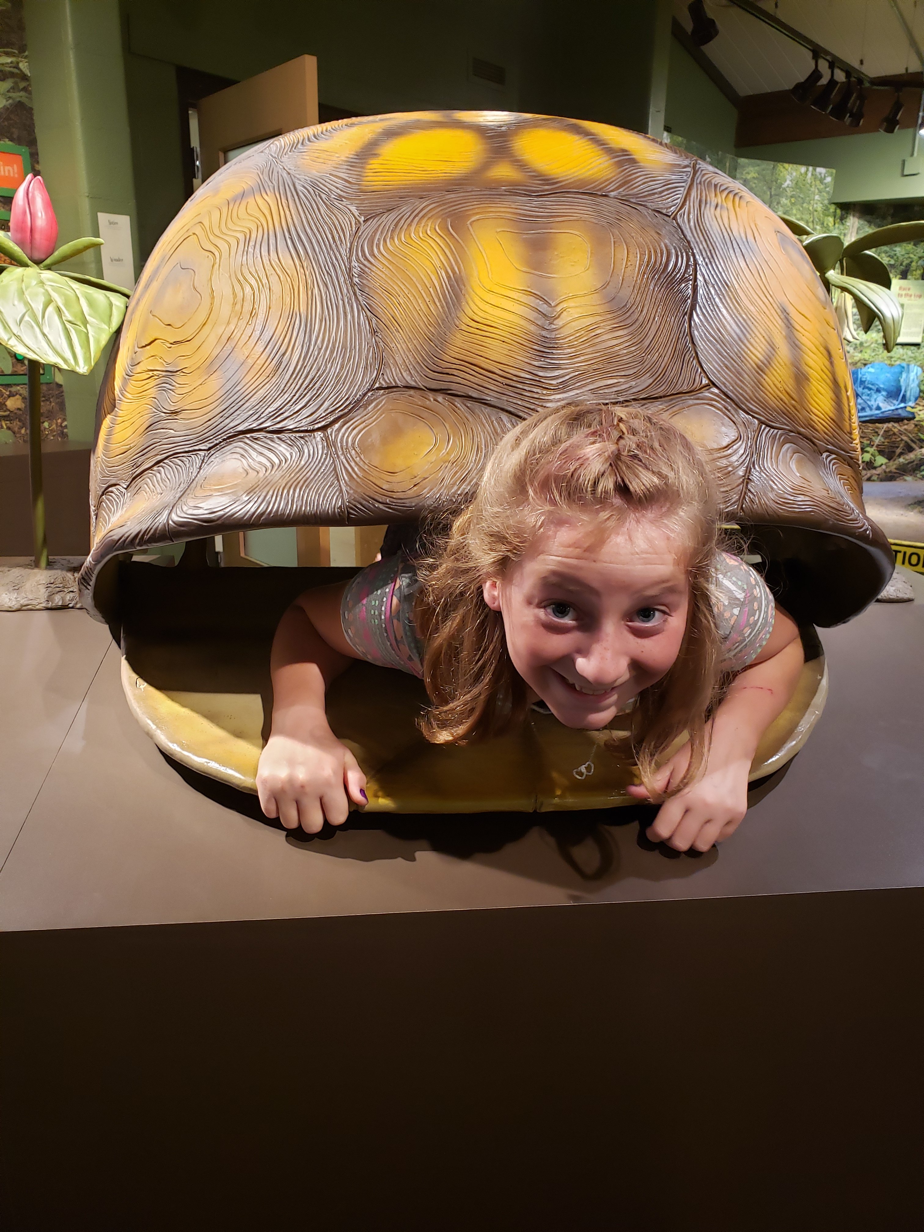 girl in a large turtle shell