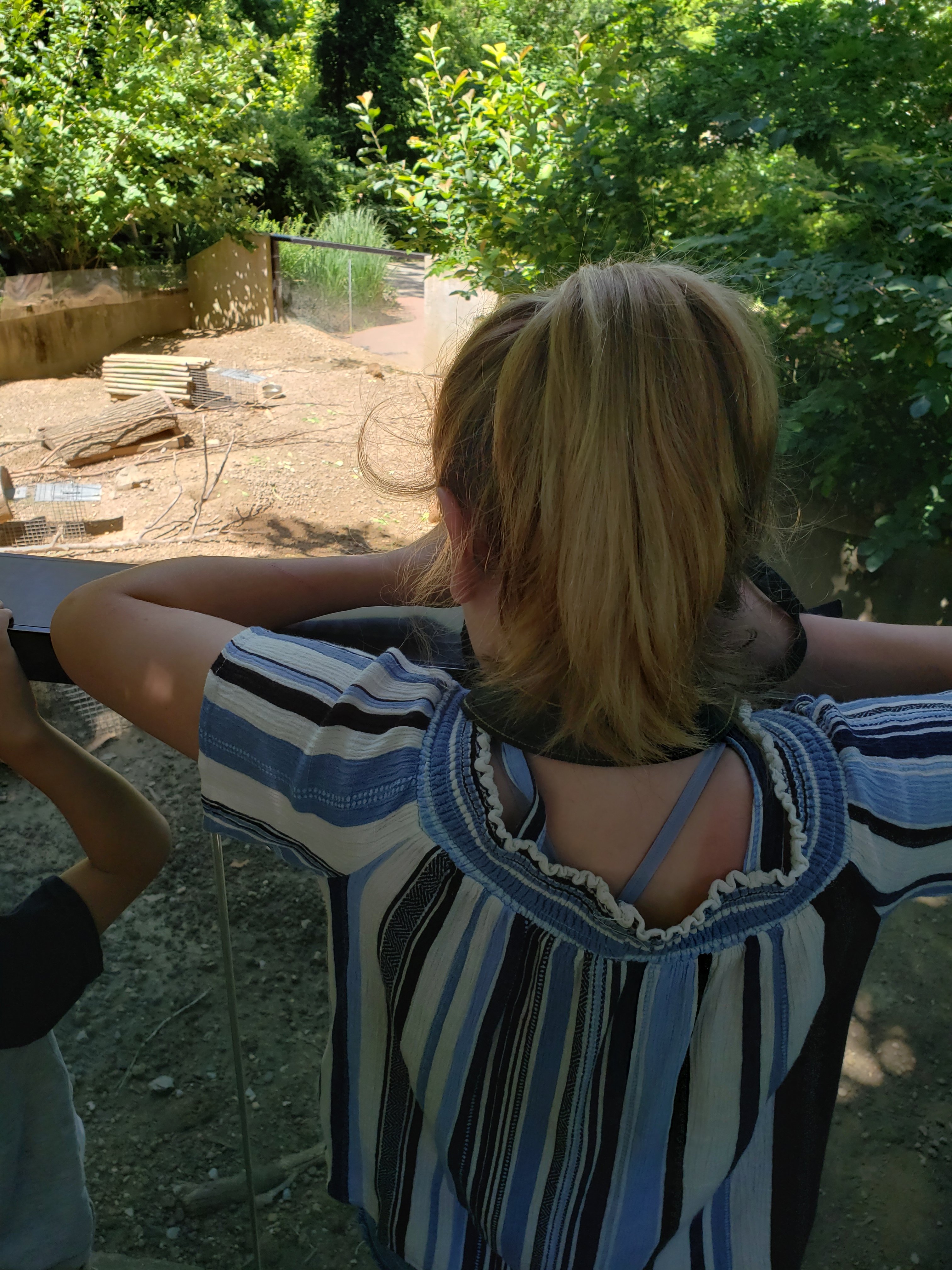 girl standing at a railing looking down into a zoo animal exhibit