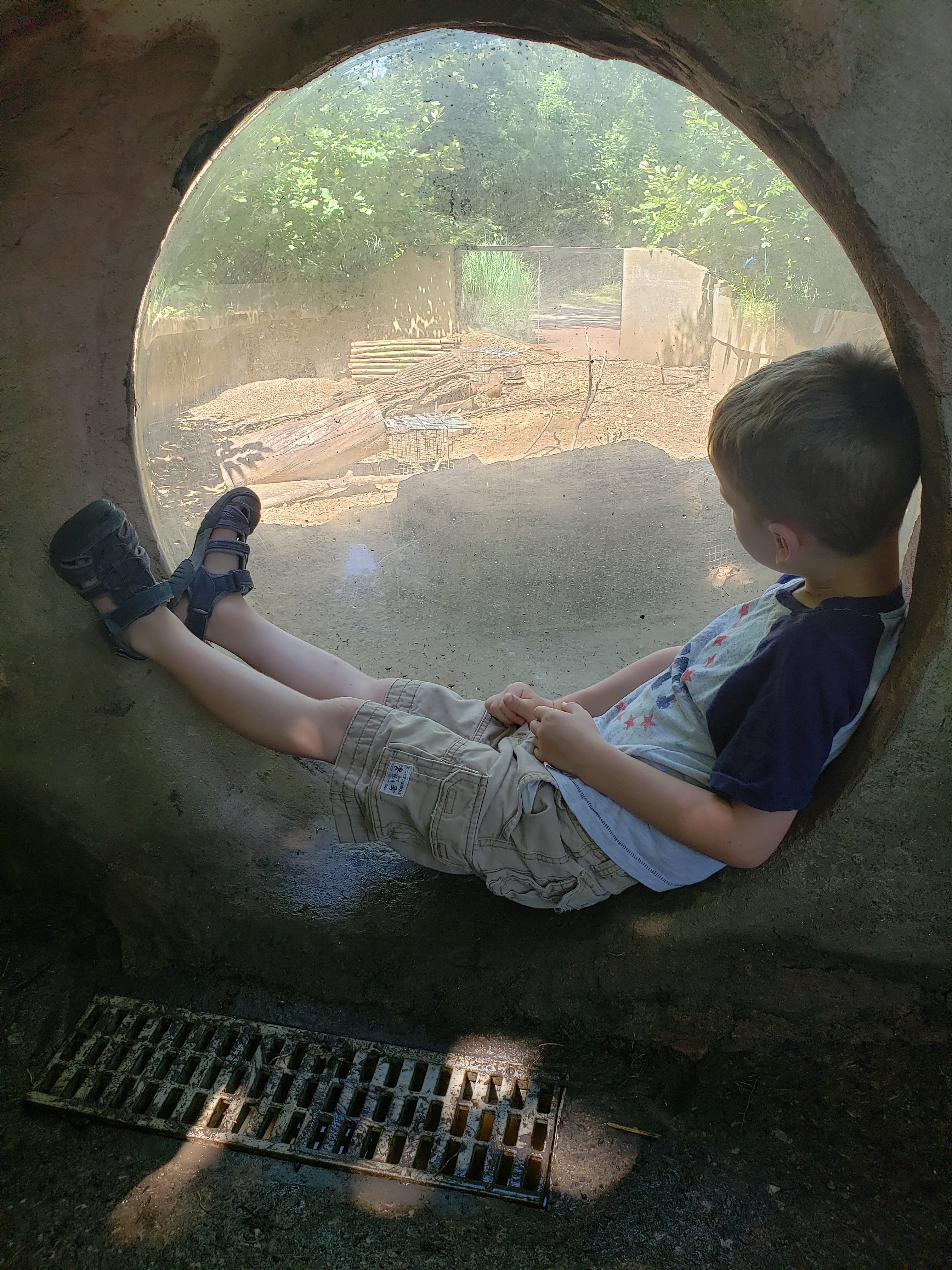 boy sitting in a tunnel in front of a window over looking a zoo exhibit