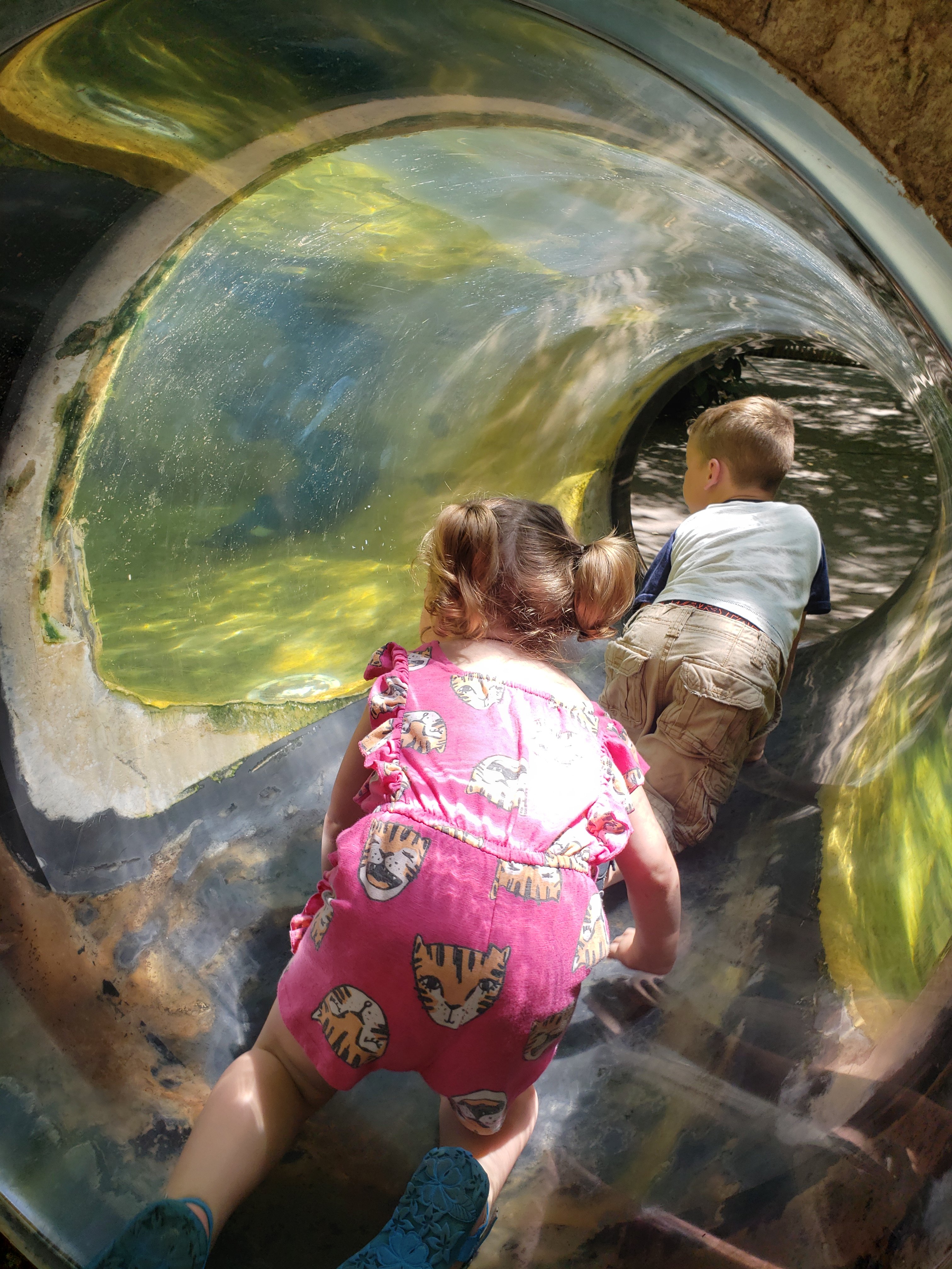 a girl and a boy crawling through a tunnel that looks to be in water, seeing into an exhibit