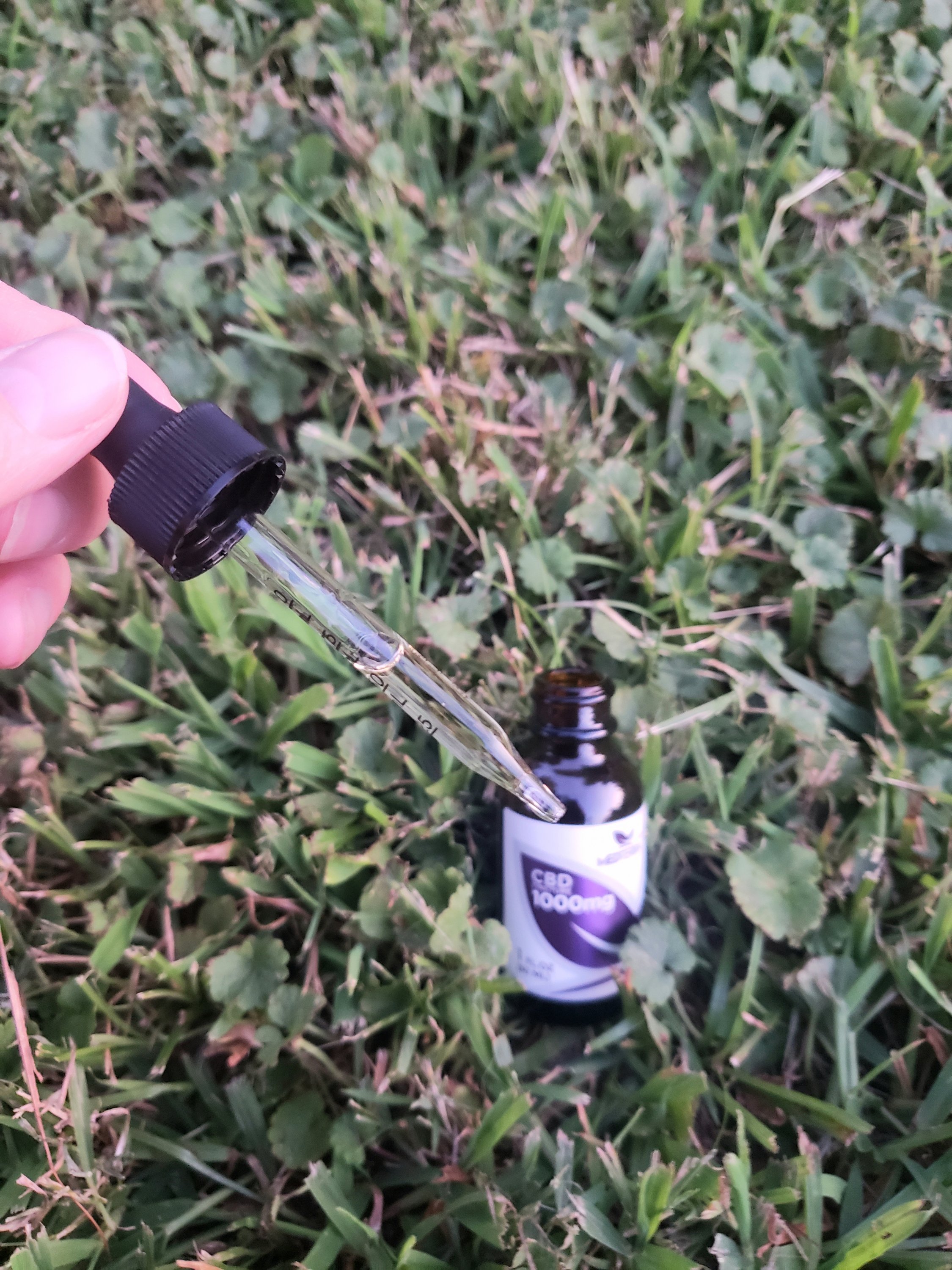 a small bottle of CBD tincture with a dropper in the grass